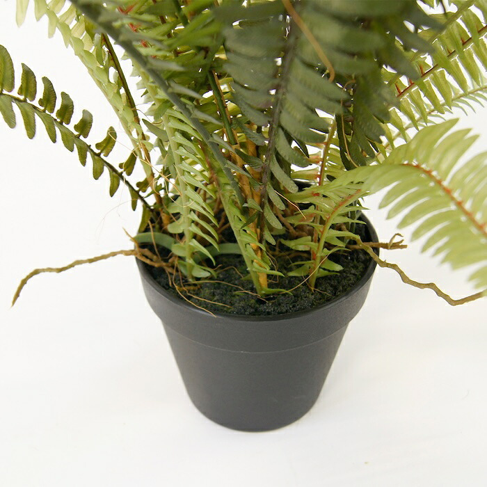 観葉植物 造花 ボストンファーン グリーン BROWN 全高約70cm 卓上・小型 フェイクグリーン 本物そっくり おしゃれ インテリア 人工観葉植物 アーティフィシャルグリーン オフィス 店舗 ホテル 開店祝い 室内 ミニ シダ タマシダ フェイク