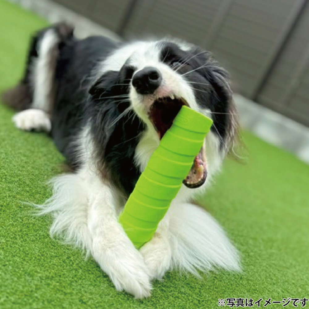 ジョイサー JOYSER ホールスティック 犬用おもちゃ ライム