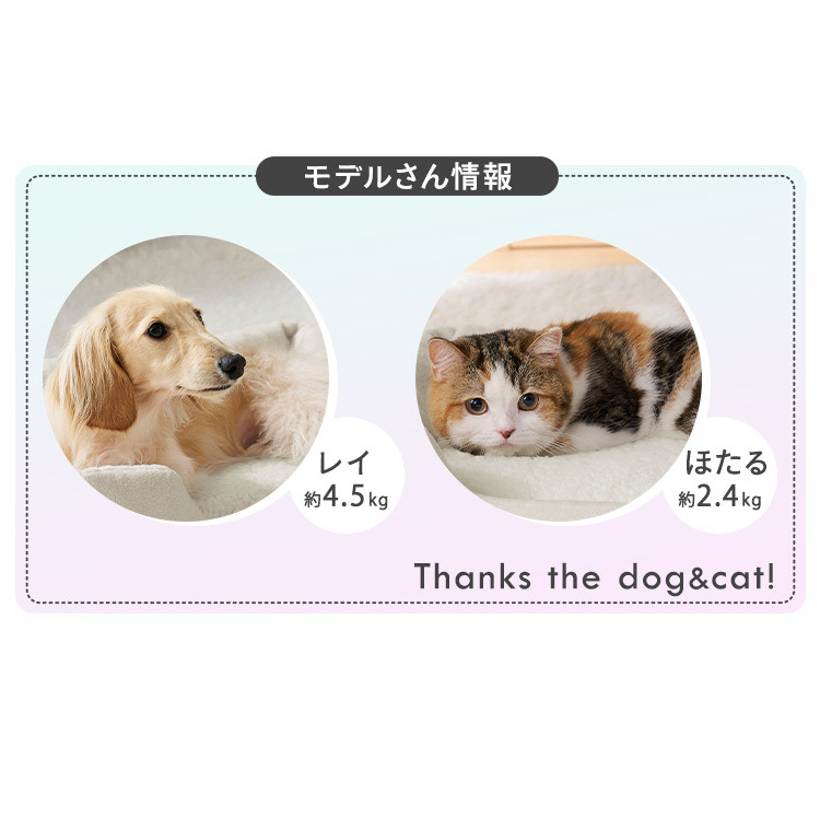 ペットベッド ドーム型 猫 小型犬 ベッド クッション手洗い可 滑り止め付 ホットカーペット対応 ソファ アイリスオーヤマ PBBA-480 2WAY P2DBA-460 *