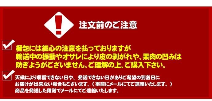 青森りんご 9kg 訳あり 送料無料 福袋 北海道産 青森産 リンゴ ※沖縄は送料別途加算 到着日指定不可