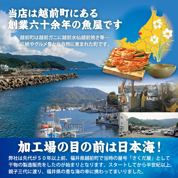 せいこ蟹 甲羅盛り 【数量限定】 越前がに 海鮮 詰め合わせ 福井県産 【冷凍便】美味しい贈物 お歳暮 ギフト