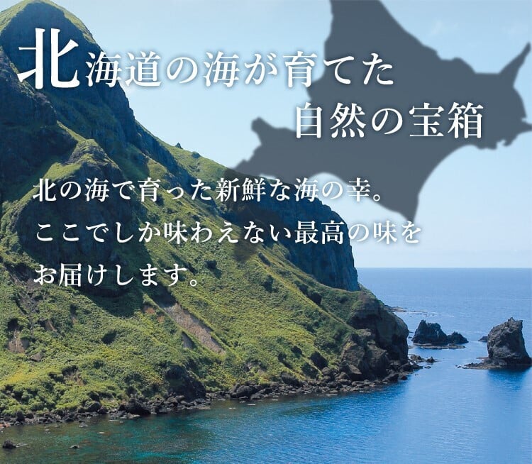 【送料無料】【高級ギフト】北海道　極宝珠漬セットG：2026年 お取り寄せ 北海道 誕生日プレゼント お歳暮 御歳暮 出産内祝い お返し 結婚 母 父 男性 女性 彼氏 彼女 お祝い お礼 お供え 極 海宝 かに うに 詰合せ 海鮮 人気セット　法人　冬ギフト
