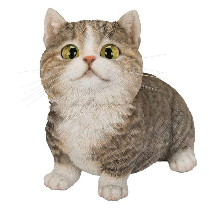 置物 猫 見上げるマンチカン ブラウン 幅16cm woobia ウービア リアル かわいい おしゃれ 玄関 インテリア オブジェ ガーデン マンチカン キジトラ ネコ 動物 アニマル 癒し 棚 北欧 リビング プレゼント ギフト 新築祝い 猫好き
