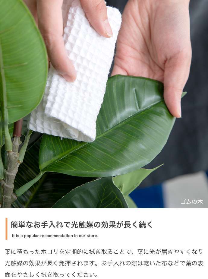 【高さ200cm】光触媒人工観葉植物 パキラ 曲がり 幅55cm×奥行50cm×高さ200cm オフィス 天然木 組立品 お部屋に気軽に飾れて空間を美しく彩るフェイクグリーン 本物の植物のようなリアルな質感とインテリアに馴染む風合いが魅力です