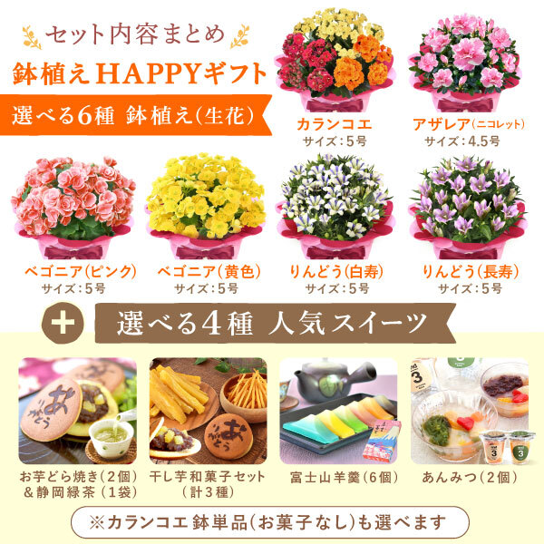敬老の日 すぐ贈れるギフト 即日発送 ギフト プレゼント 花 生花 鉢植え 鉢花 カランコエ アザレア ベゴニア どら焼き スイーツ お菓子 和菓子 洋菓子 花とお菓子 60代 70代 80代 90代 おじいちゃん おばあちゃん 孫 孫から 送料無料 おいもや