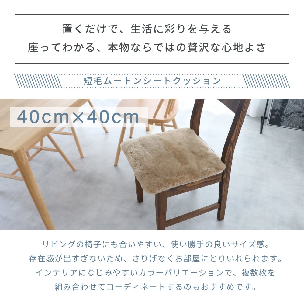 ムートンシートクッション 短毛タイプ 40×40cm (大判サイズ) 毛皮 ムートンクッション ムートン クッション 座布団 ソファー 暖かい 短毛 シートクッション 冷え性対策 夏でもさらさら エアコン対策 おしゃれ 韓国インテリア 北欧 かわいい