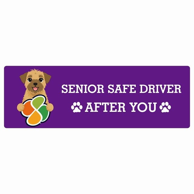 カーサイン 高齢者マーク SENIOR SAFE DRIVER ボーダーテリア ステッカー シール 長方形 15x5cm 肉球 日本製 車