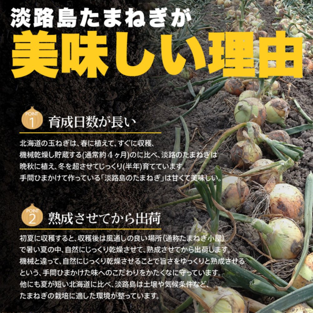 淡路島産玉ねぎ100％使用 たまねぎスープ 計30包 オニオンスープ 個包装 コンソメ お湯を注ぐだけ ポスト投函便