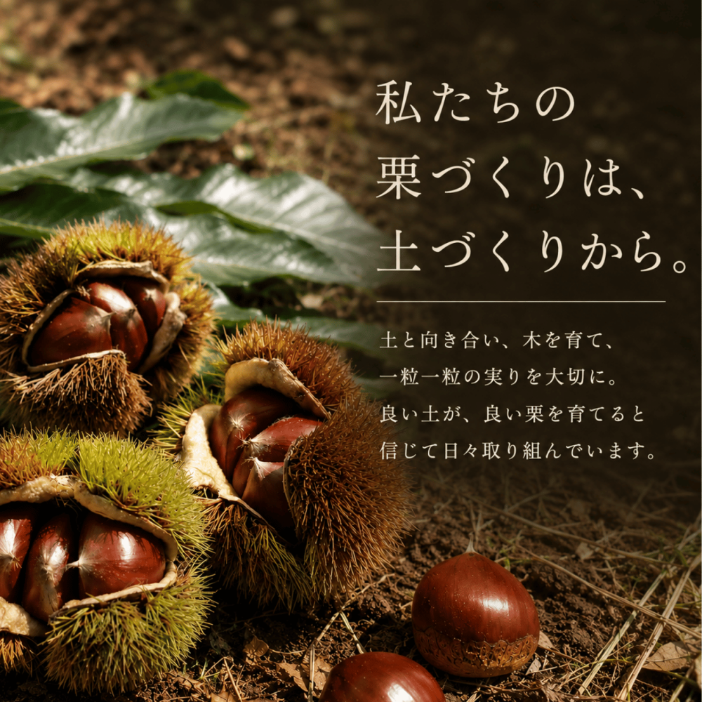 焼き栗 和栗 丹波栗【送料無料】スイーツ 和菓子 お菓子  丹波焼き栗 230g 【丹波の幸】食べ物 くり 栗スイーツ 甘栗 国産 栗 内祝い お返し プチギフト お取り寄せ ご当地 高級 グルメ 勝栗 搗栗