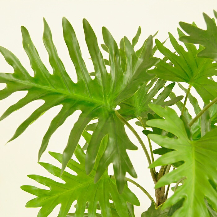 観葉植物 造花 セローム BROWN 全高約70cm 卓上・小型 フェイクグリーン 本物そっくり おしゃれ インテリア 人工観葉植物 アーティフィシャルグリーン オフィス 店舗 ホテル 開店祝い 室内 ミニ フィロデンドロン フェイク