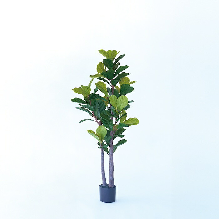 観葉植物 造花 カシワバゴム BROWN 全高約150cm 大型 ゴムの木 フェイクグリーン 本物そっくり おしゃれ インテリア 人工観葉植物 アーティフィシャルグリーン オフィス 店舗 ホテル 開店祝い 室内 フィドルリーフ フェイク