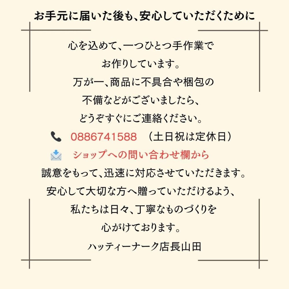 子供の絵 刺繍 Tシャツ １枚 お誕生日 プレゼント お絵描Tシャツ 母の日 父の日 敬老の日 孫 手書き イラスト 絵 長寿祝い ギフト 刺しゅう 孫の絵 祖父母 似顔絵 還暦祝い 