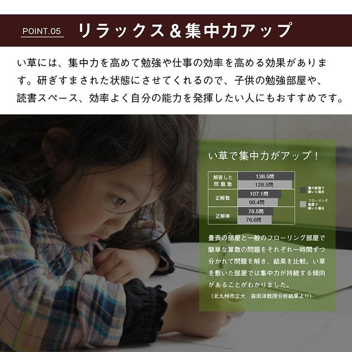 夏ラグ 夏用カーペット 純国産 い草 上敷き はっ水 カーペット 双目織 三六間3畳(約182×273cm）