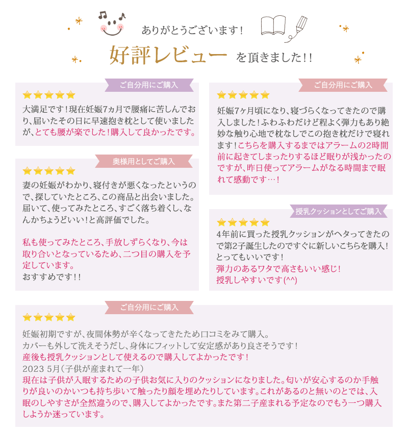 授乳クッション 日本製 洗える  【限定エトワールカラー】 sandesica サンデシカ  くぼみがフィットするクラウド抱き枕