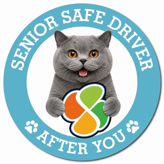カーサイン 高齢者マーク SENIOR SAFE DRIVER ブリティッシュショートヘア マグネット 強力 直径13cm 肉球 日本製 車 ステッカー