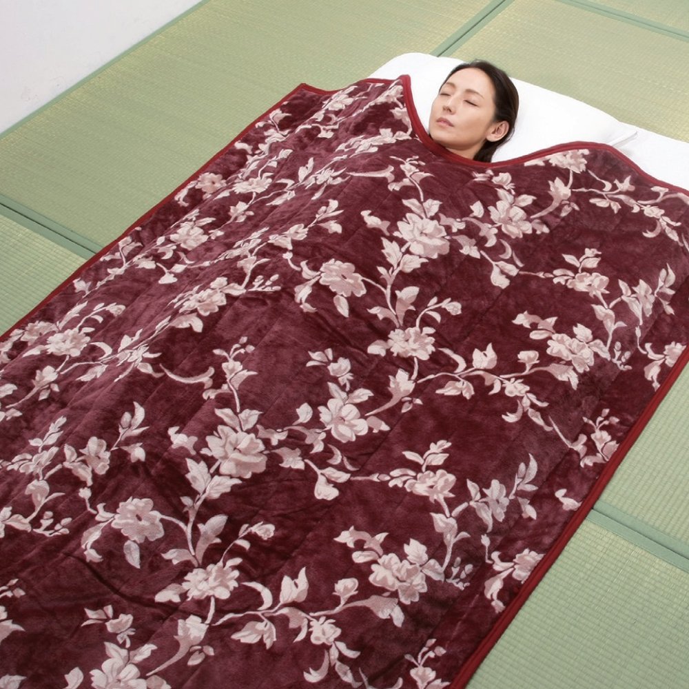 中綿増量 マイヤー2枚合わせ入りくりえり毛布布団2色組 2枚セット 防ダニ 抗菌防臭 暖かい くり襟 テイジンギフト 夫婦 両親 送料無料
