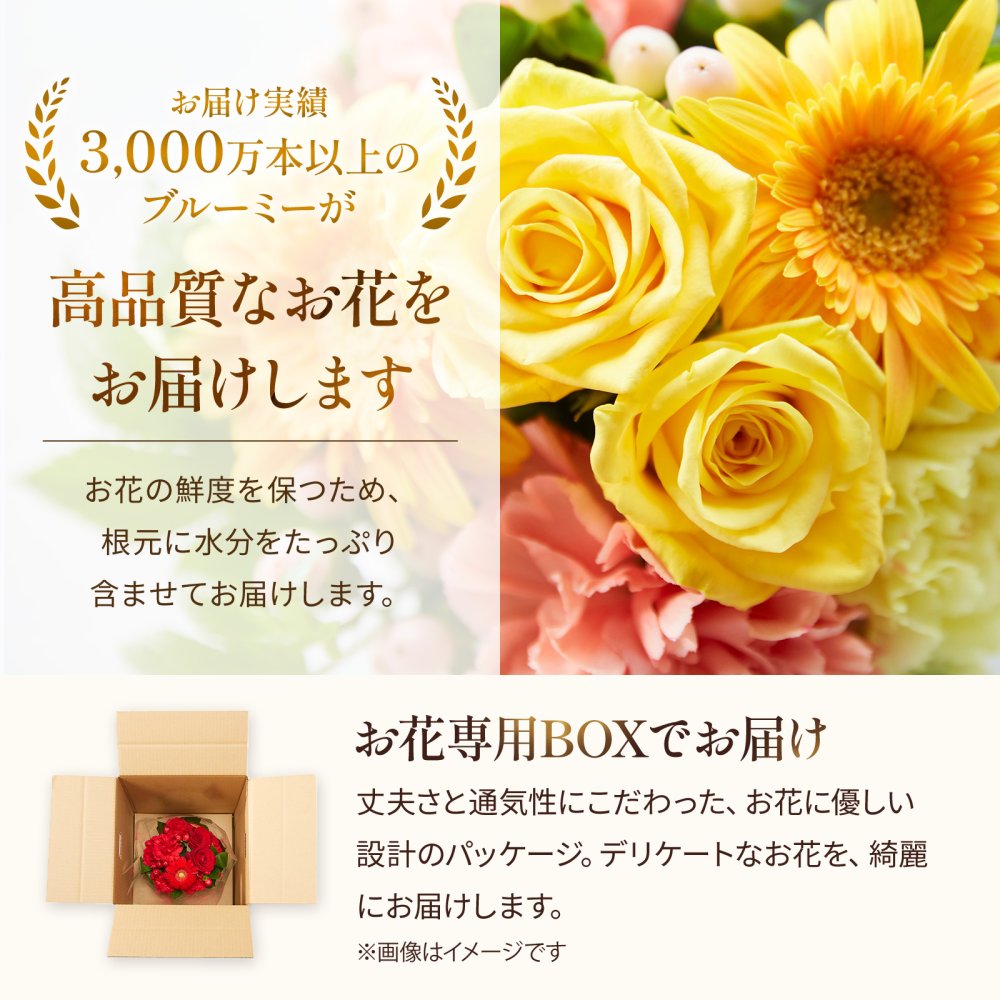 そのまま飾れる アレンジメント Sサイズ 敬老 お中元 敬老の日 退職 入学 送料無料 土日発送OK アレンジ 誕生日プレゼント バラ ギフト フラワー 花束 生花 お祝い フラワーギフト 花 花瓶いらず プレゼント 花 ギフト 50代 60代 70代