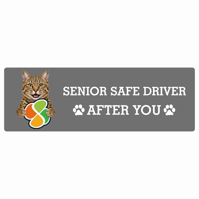 カーサイン 高齢者マーク SENIOR SAFE DRIVER ピクシーボブ ステッカー シール 長方形 20x6.7cm 肉球 日本製 車