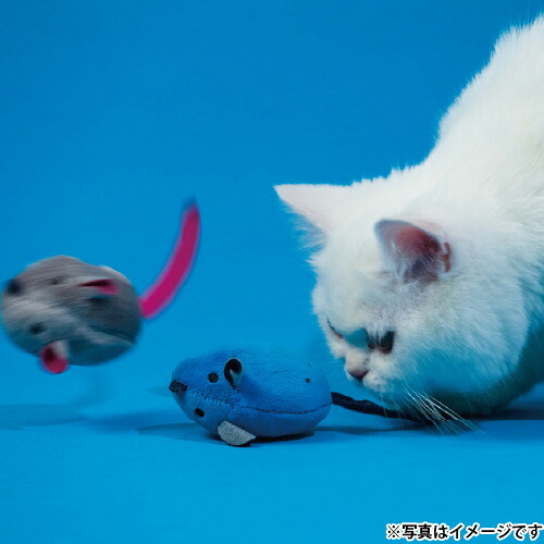 ジョイサー JOYSER サウンドチップマウス アッシュ 猫用おもちゃ アッシュ