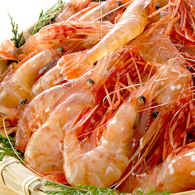 ボタンエビ 活 〆 オス 大中サイズ 1kg 秋 北海道 噴火湾産 送料無料※沖縄は送料別途加算