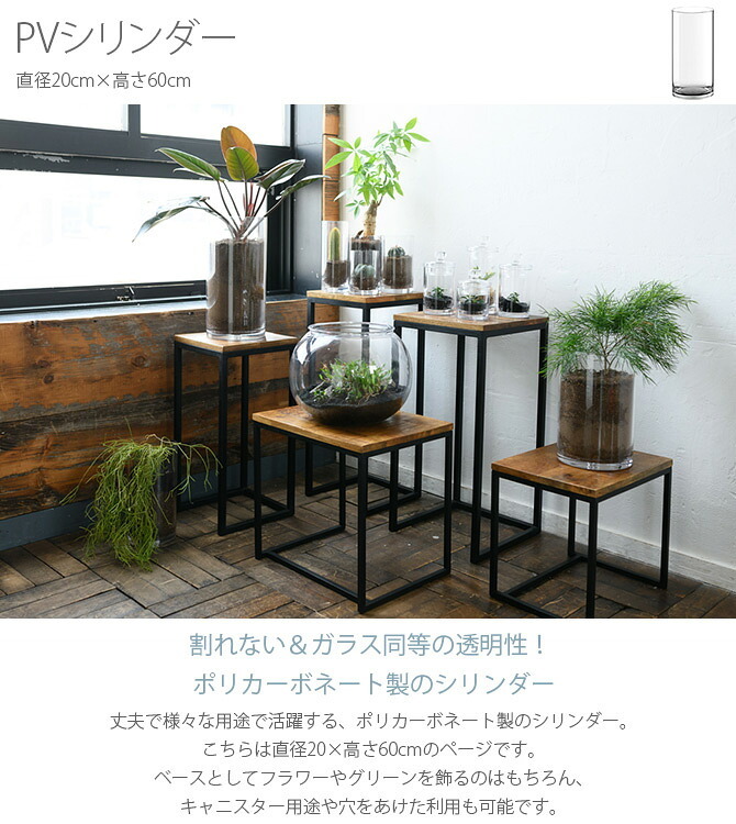 FOYER ホワイエ PVシリンダー 直径20cm×高さ60cm クリア