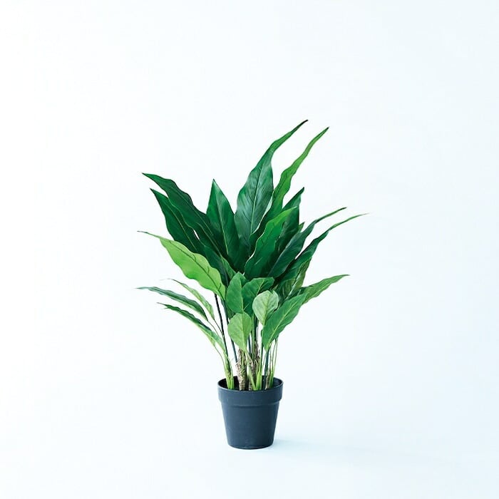 観葉植物 造花 スパティフィラム BROWN 全高約60cm 卓上・小型 フェイクグリーン 本物そっくり おしゃれ インテリア 人工観葉植物 アーティフィシャルグリーン オフィス 店舗 ホテル 開店祝い 室内 ミニ スパティフィルム フェイク