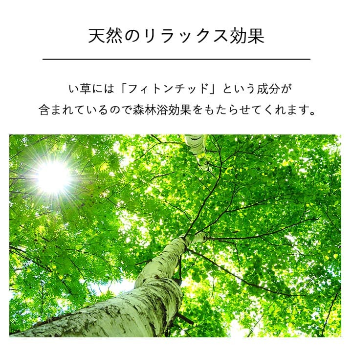 国産 日本製 い草 インテリア オブジェ 消臭 空気清浄 ナチュラル 植物 置物 95×10cm