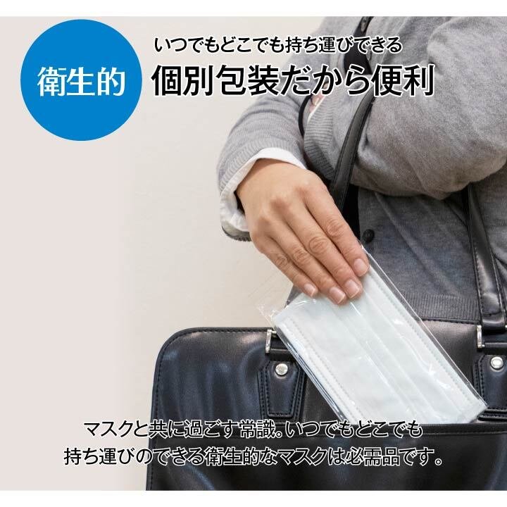 マスク アレルプルーフ 日本製 PM2.5 かぜ 花粉 ハウスダスト 個別包装 サージカル マスク 高機能不織布フィルター使用 Lサイズ 30枚入り
