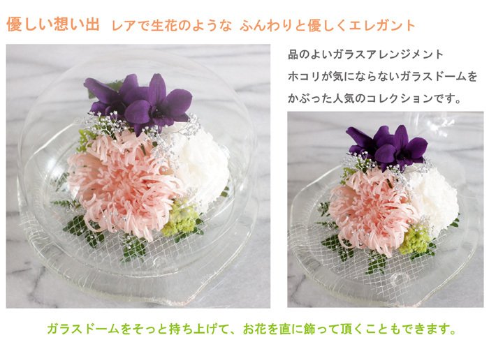 【最後の1点】【プリザーブドフラワー】優しい想い出・ガラスドーム　レアで生花のようなフレッシュ感に満ちた　ふんわりと優しくエレガント　ほこりが付かない ギフト 誕生日　記念日 サプライズ　送料無料