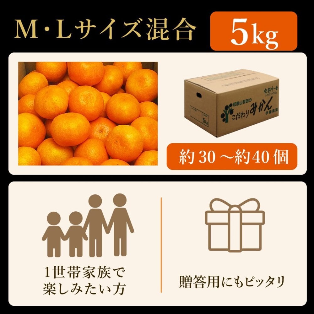 みかん 5kg 贈答用 秀品 特選 送料無料 和歌山 M L 伊藤農園 大玉 中玉 手詰め 有田みかん 温州みかん 約30個～40個 果物 出産内祝い 贈答 ギフト 誕生日 結婚祝い 出産祝い 内祝い ギフト