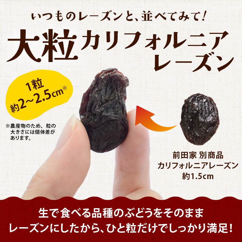 前田家 大粒レーズン ノンオイル カリフォルニア産 300g/500g/700g 無添加 砂糖不使用 種なし ドライフルーツ 干しぶどう レーズン 大粒 製菓材料 おやつ 送料無料 MAEDAYA