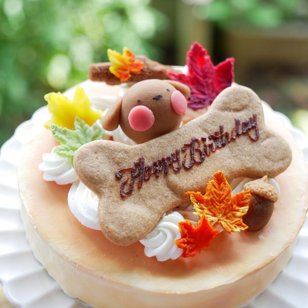 犬用ケーキ 誕生日 ちぃさい秋みぃ～つけた紅葉いちごショートケーキ レギュラーサイズ 無添加 食いつき 人気 おすすめ 手づくりごはん 小型犬 犬 小さいサイズ バースデー ケーキ フードケーキ ごはん プレゼント ギフト 贈り物 お誕生日 お迎え記念日 快気祝い ご贈答用 結婚祝い パーティー お茶会 犬友 猫友 お祝い お誕生日 ワンちゃん ペットフード ドッグフード