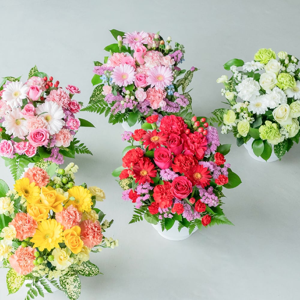 フラワーギフト カラフルガーデンフラワーアレンジメント Mサイズ 生花 花市場から直送 父の日  お祝い 誕生日 記念日