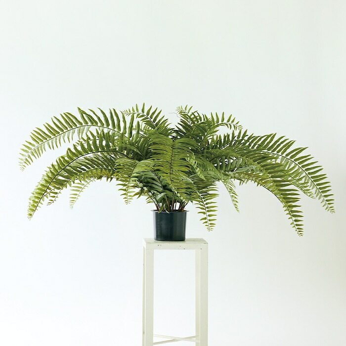 観葉植物 造花 ジャイアントソードファーン 枝垂れ BROWN 全高約70cm フェイクグリーン 高級 本物そっくり リアル おしゃれ 卓上 インテリア 人工観葉植物 アーティフィシャルグリーン シダ オフィス 店舗 開店祝い 室内 リビング 玄関 風水 ボストンファーン
