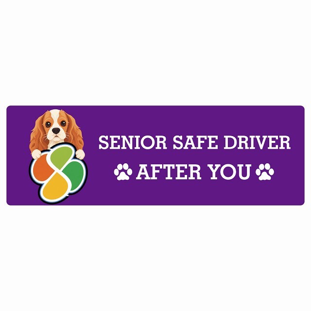 カーサイン 高齢者マーク SENIOR SAFE DRIVER イングリッシュコッカースパニエル ステッカー シール 長方形 20x6.7cm 肉球 日本製 車