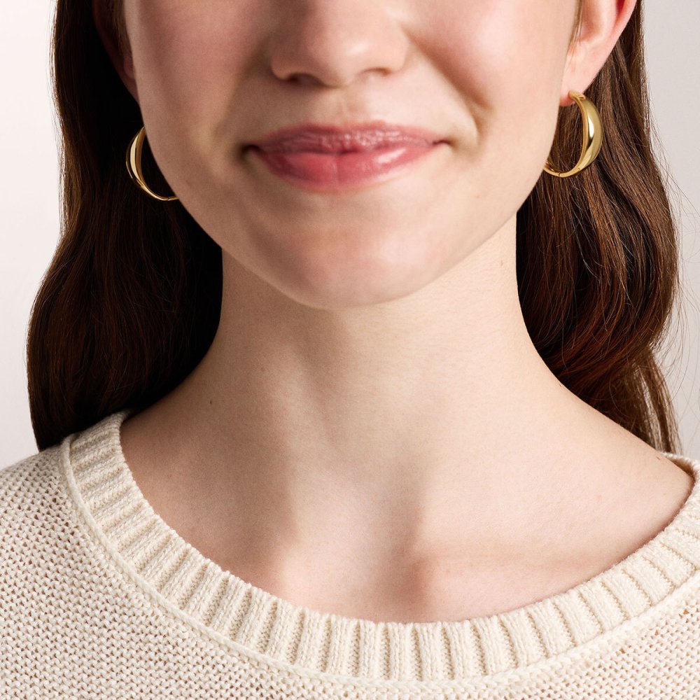 フォッシル FOSSIL Ellis アクセサリー ピアス レディース JF05003710【2026 新作】