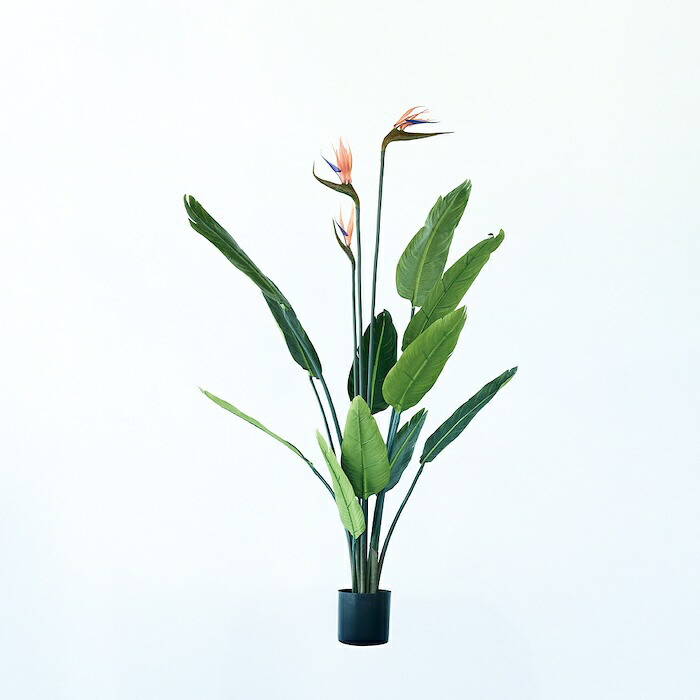観葉植物 造花 ストレリチア BROWN 全高約126cm 大型 フェイクグリーン 本物そっくり おしゃれ インテリア 人工観葉植物 アーティフィシャルグリーン オフィス 店舗 ホテル 開店祝い 室内 極楽鳥花 オーガスタ フェイク