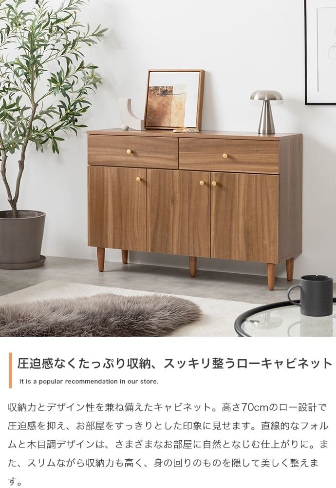 引き出し付きキャビネット サイドボード テレビ台 チェスト 収納 引き出し 扉付き 可動棚 本棚 食器棚 リビングボード スリム 薄型 ファミリー 一人暮らし ワンルーム リビング 寝室 ダイニング キッチン 幅100 高さ70 奥行31 カウンター下収納 脚付