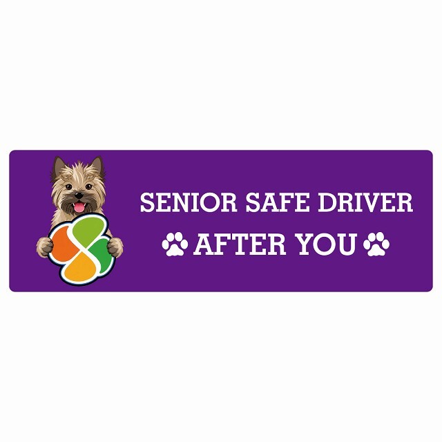 カーサイン 高齢者マーク SENIOR SAFE DRIVER ケアーンテリア ステッカー シール 長方形 15x5cm 肉球 日本製 車