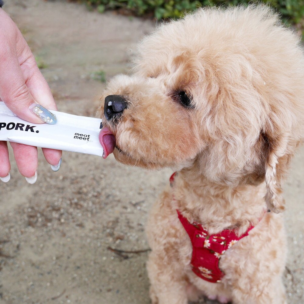 tasty！ テイスティ meat meet gelee ミートミートジュレ 鮪 犬用おやつ 10g×7本