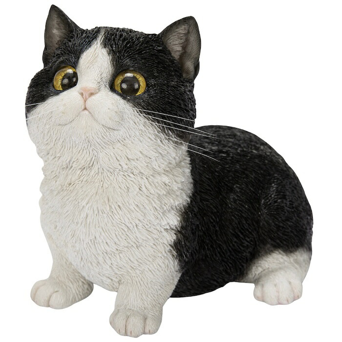 置物 猫 見上げるマンチカン 黒白 幅16cm woobia ウービア リアル かわいい おしゃれ 玄関 インテリア オブジェ ガーデン マンチカン 白黒 ハチワレ ネコ 動物 アニマル 癒し 棚 北欧 リビング プレゼント ギフト 新築祝い 猫好き