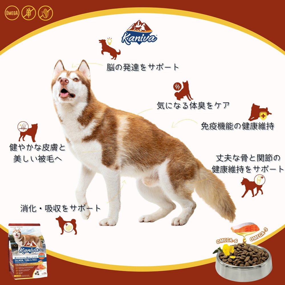 Kaniva カニワ サーモン ツナ＆ライス ドッグフード 1.4kg