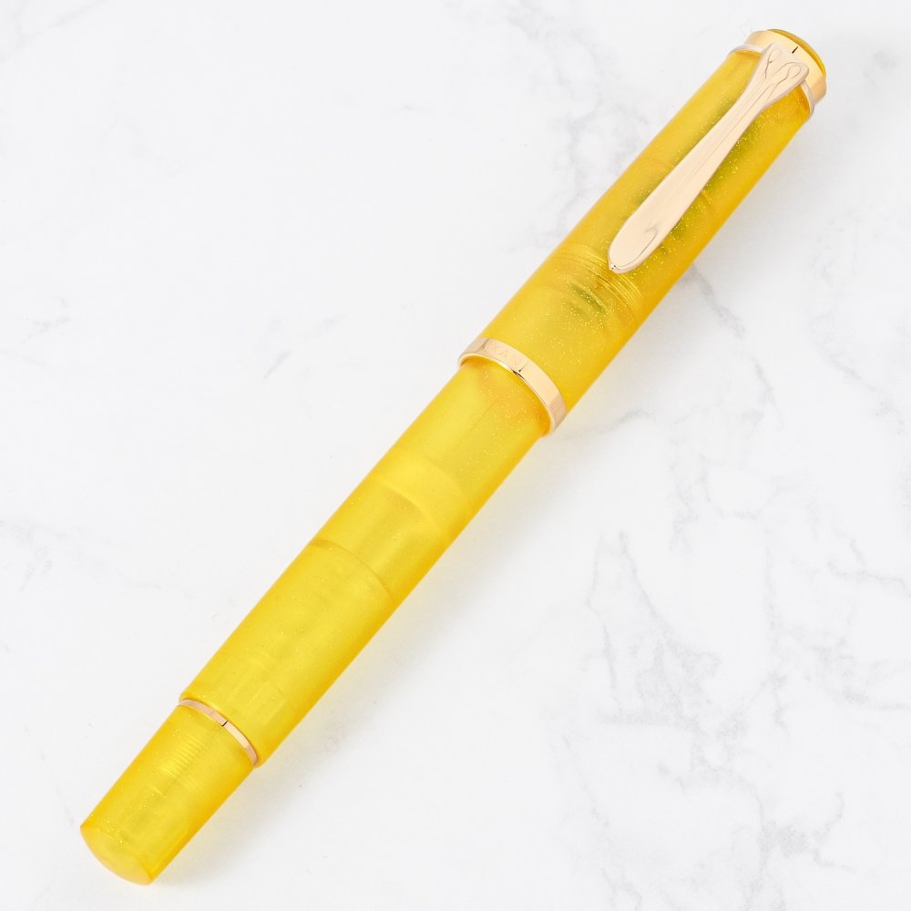ペリカン Pelikan 万年筆 インクセット 2026限定色 Classic クラシック パイライト M200 ペン先EF(極細字) 特別生産品 高級筆記具 万年筆 文房具 送別会 誕生日 お中元 還暦祝い 結婚祝い 結婚式 高級 父の日 母の日 即日発送 クリスマスプレゼント 文房具 成人祝い ビジネス小物 ホワイトデー