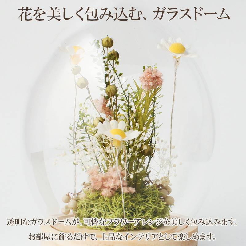 名入れ LEDフラワー マーガレット ガラスドーム タマゴ型 フラワーギフト 花ギフト 間接照明 インテリア プレゼント 誕生日 記念日 母の日 お祝い 女性