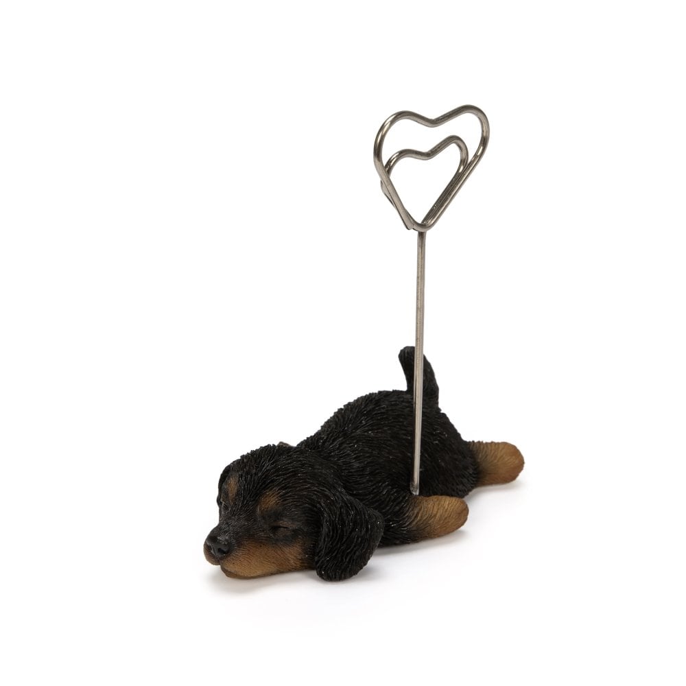 メモスタンド woobia ウービア ダックスフンド ブラック 子犬 リアル動物オーナメント 高さ8cm デスク 卓上 インテリア 誕生日 お礼 退職祝い プチギフト 犬好き ギフト プレゼント メモホルダー