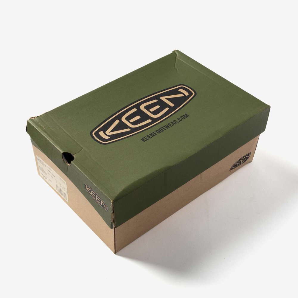 キーン KEEN TARGHEE 4 WP ターギー フォー ウォータープルーフ 1029827 スニーカー トレッキングシューズ メンズ シューズ アウトドア