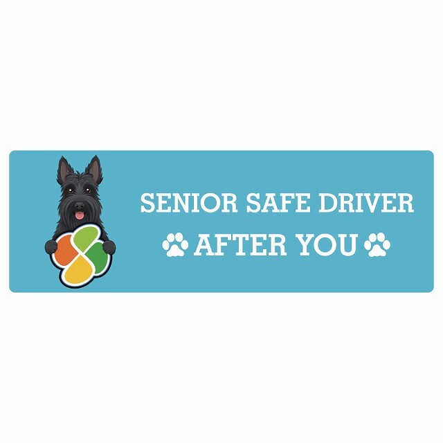 カーサイン 高齢者マーク SENIOR SAFE DRIVER スコティッシュテリア ステッカー シール 長方形 20x6.7cm 肉球 日本製 車