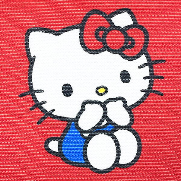 サンリオ ハローキティ フラットニットポーチ Sanrio