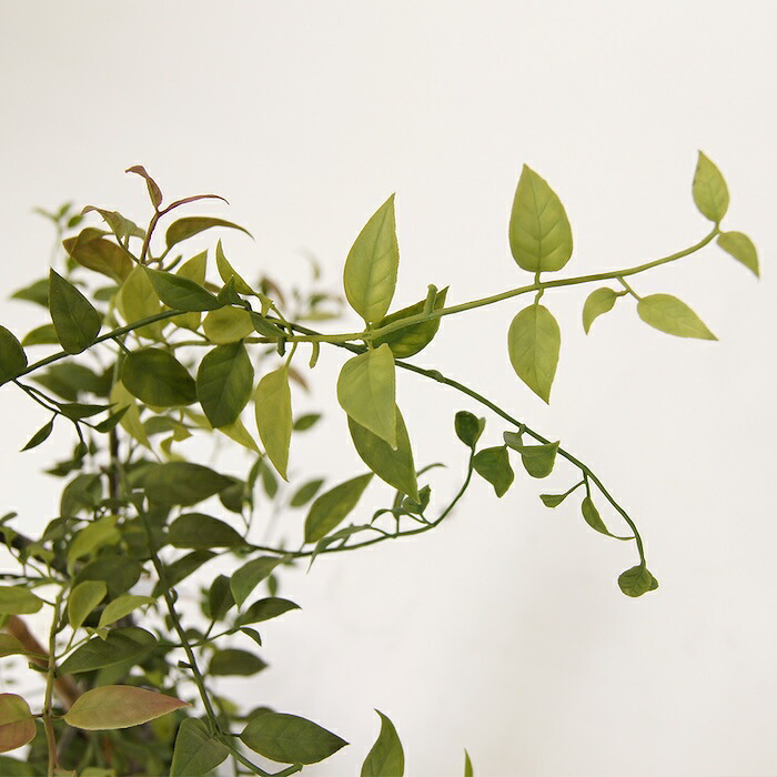 観葉植物 造花 ライベリー BROWN 全高約105cm 中型 フェイクグリーン 本物そっくり おしゃれ インテリア 人工観葉植物 アーティフィシャルグリーン オフィス 店舗 ホテル 開店祝い 室内 インテリアグリーン 枝もの フェイク