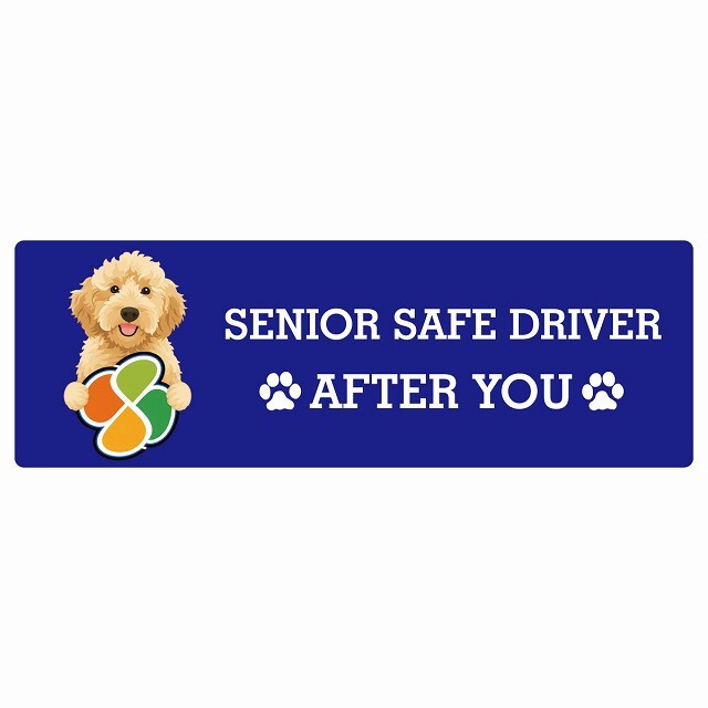 カーサイン 高齢者マーク SENIOR SAFE DRIVER オーストラリアンラブラドゥードル ステッカー シール 長方形 15x5cm 肉球 日本製 車